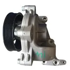 Bomba de agua 25100-2F700 | Envío Rápido