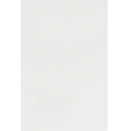 AZ ANDES PLUS BLANCO 20*30 (1.59 M² POR CAJA) para Laboratorio y Taller