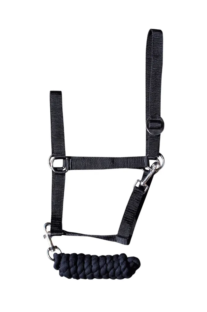 Headcollar-set initial Carbón F