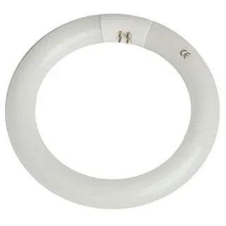 Fluorescente 22W Base G13